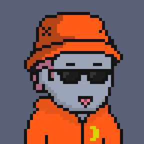Moon Hoodie Orange with a Bucket Hat, shades eyes